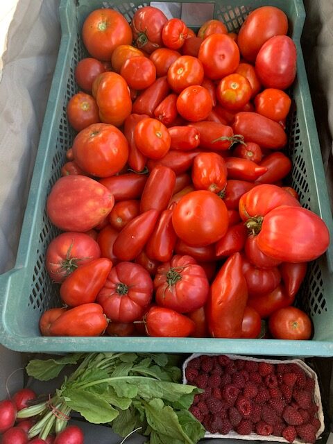 Jeśli myślicie, że o pomidorach wiecie już wszystko, przeczytajcie to koniecznie! Pomidorowy poradnik prosto ze zdrowej kuchni Michała Lachura!